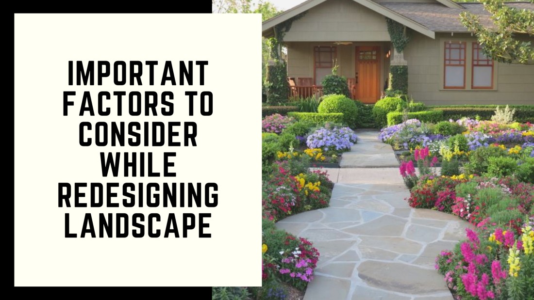 What Are Important Factors to Consider While Redesigning Landscape?