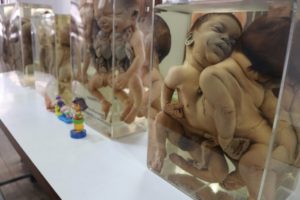 Siriraj Medical Museum