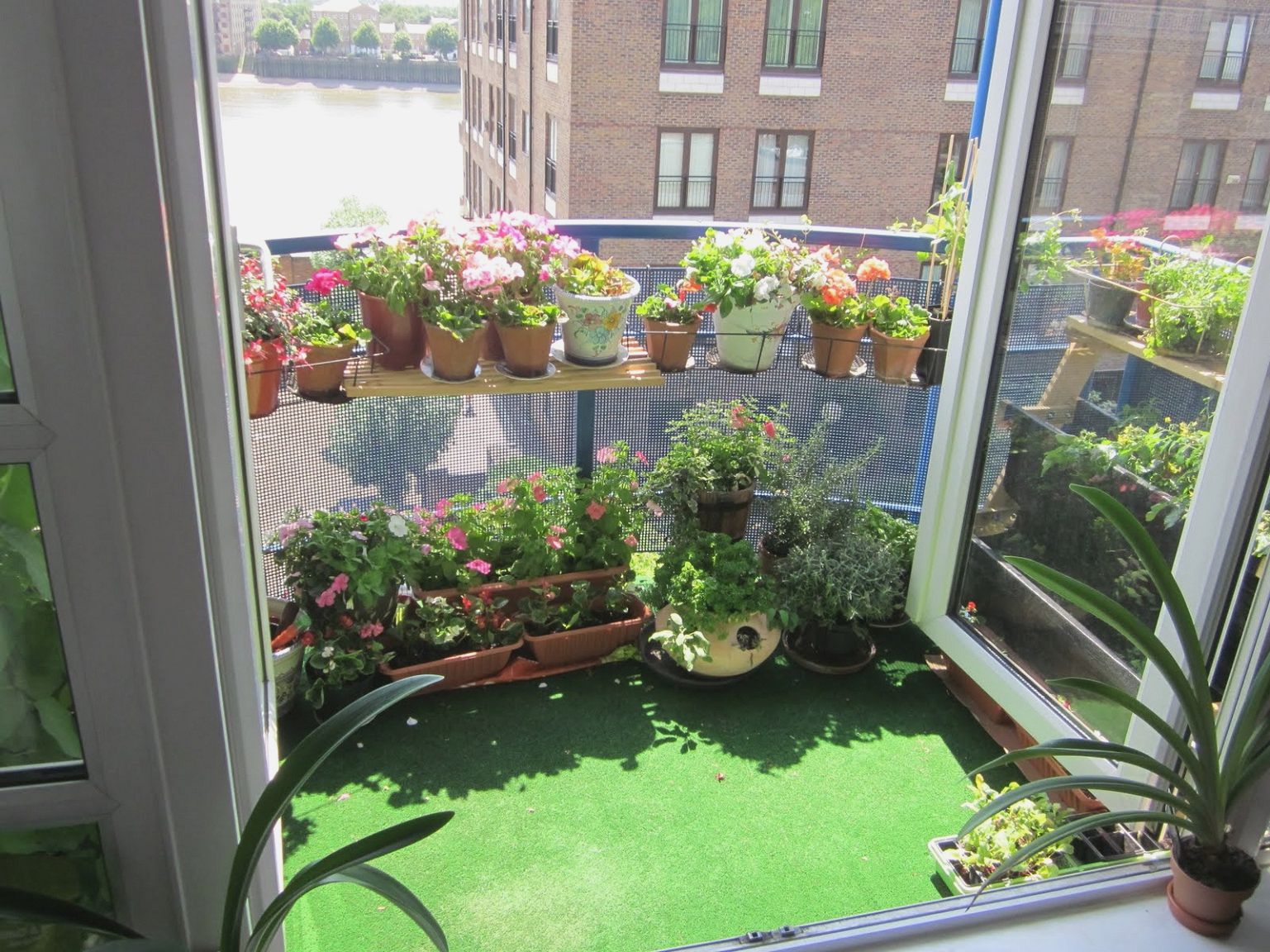 Balcony Garden Ideas to Give Your Home a New Look