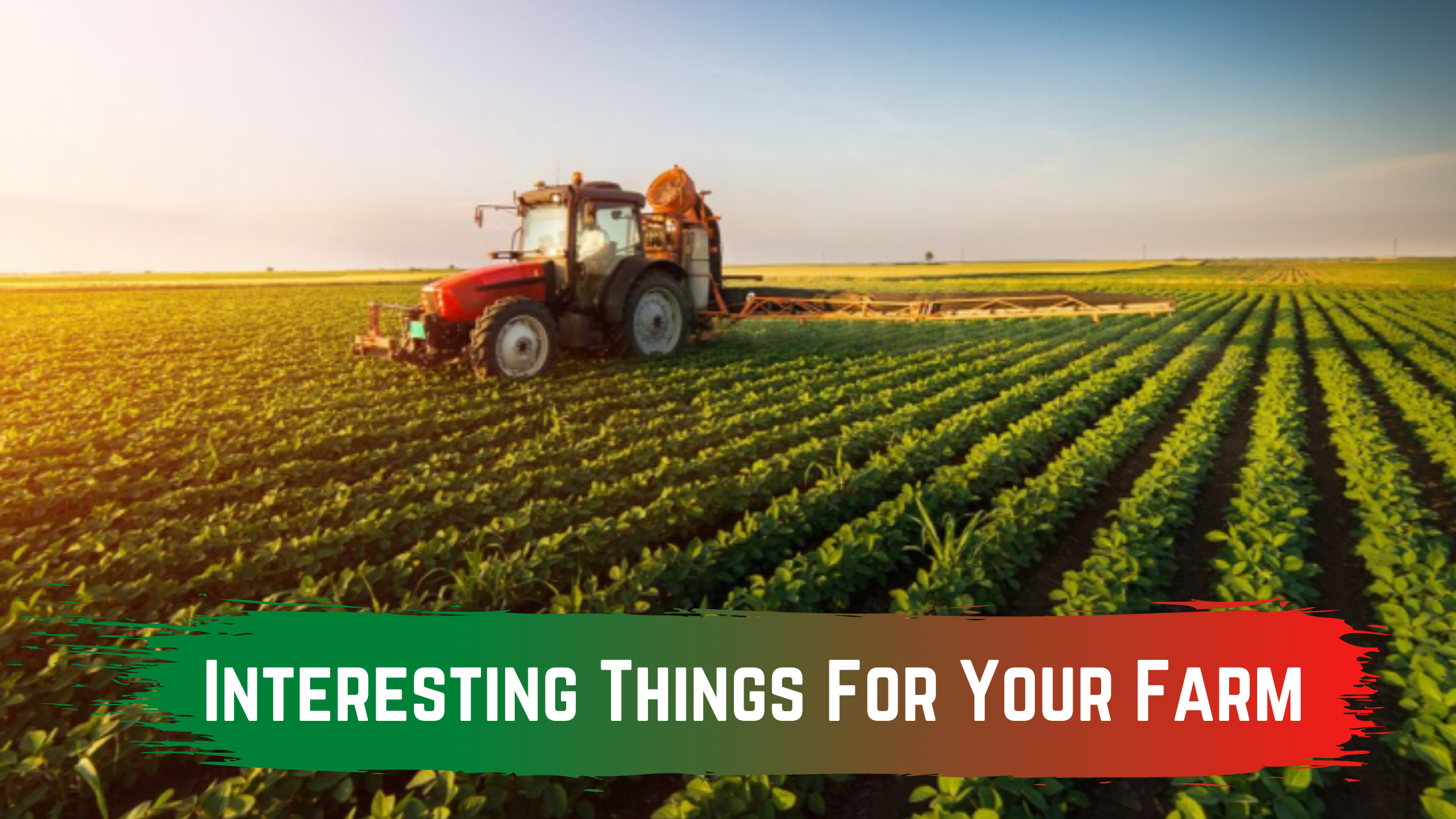 Are You Planning Interesting Things For Your Farm? We Are Here With Top Ideas Just For You