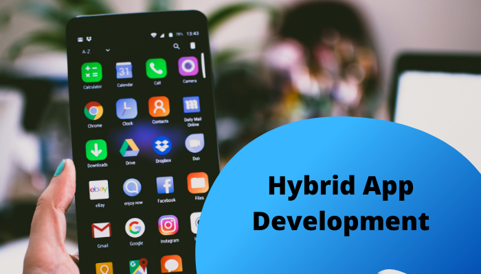 Harnessing AngularJS and Ionic: All About Hybrid App Development