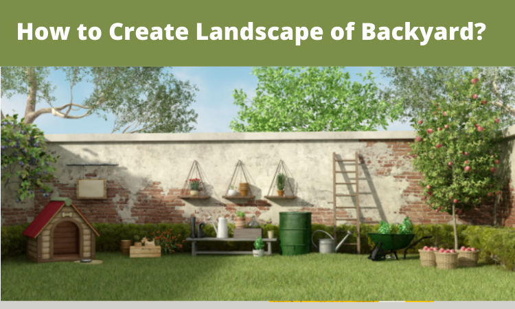 How to Create Landscape of Backyard