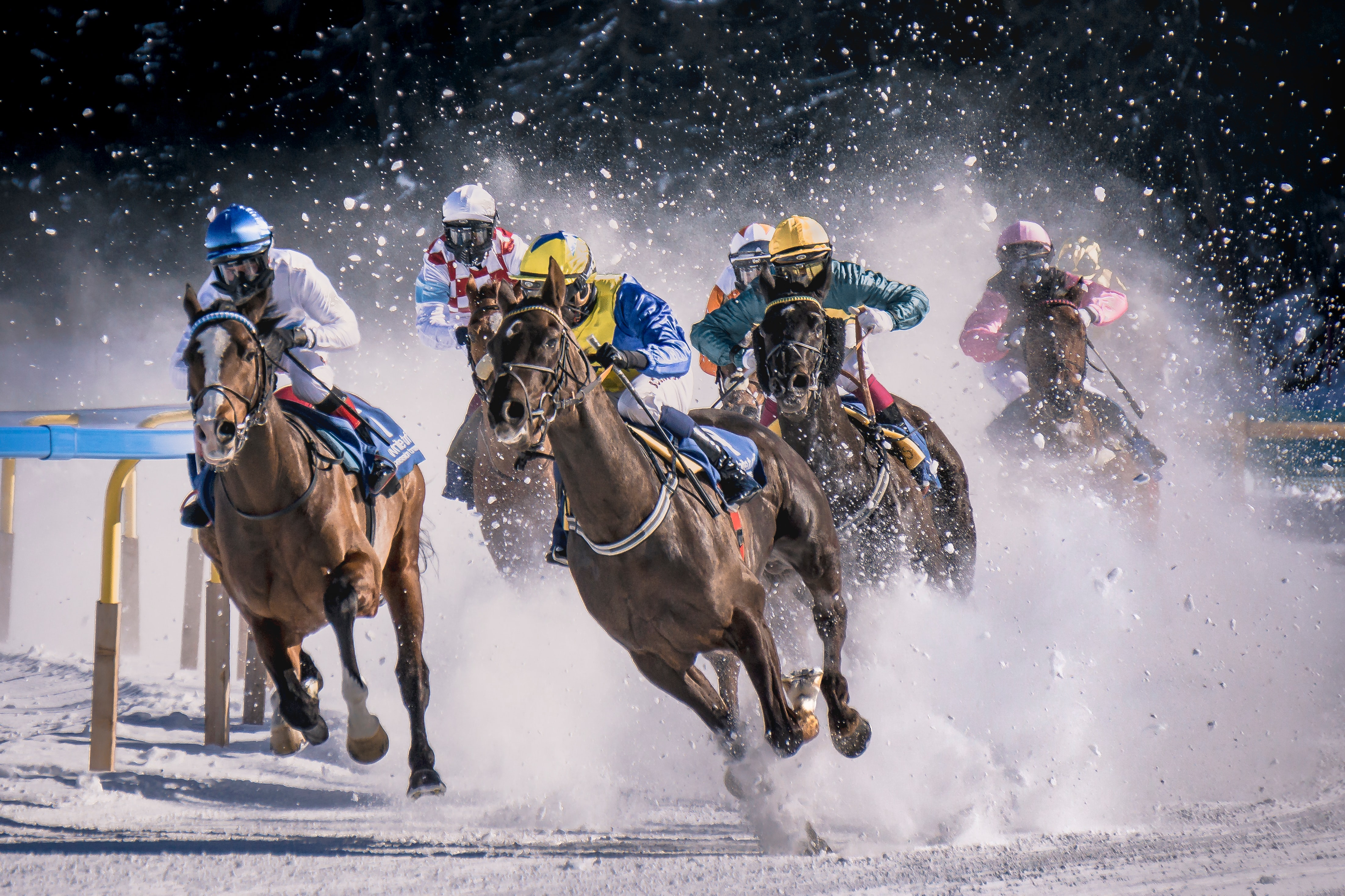Few Of The Answers You Should Know Before Started Putting Your Money In Horse Racing