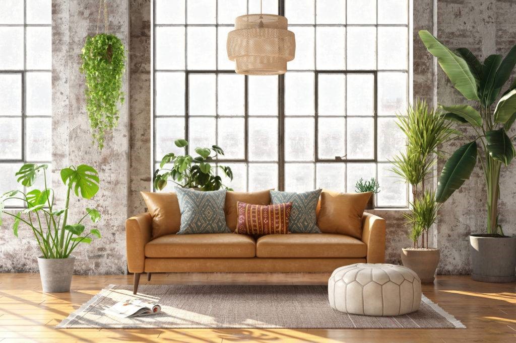 Most Demanding Houseplants in the USA for your Home Interior Decor