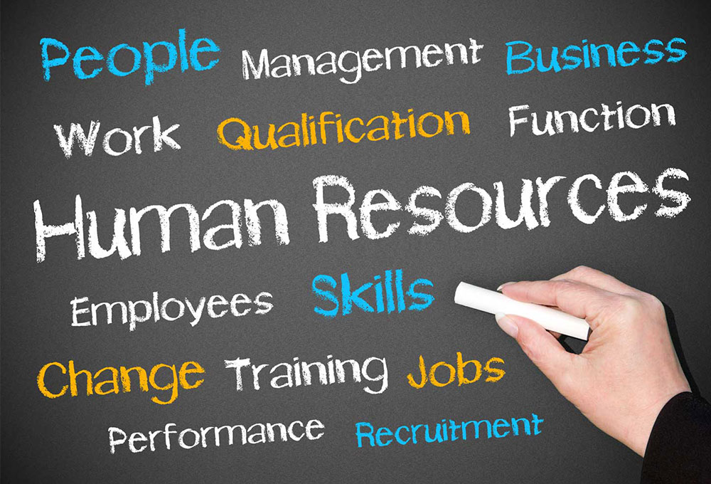 What Skills Perform Organizations Appear for In HR Executive?
