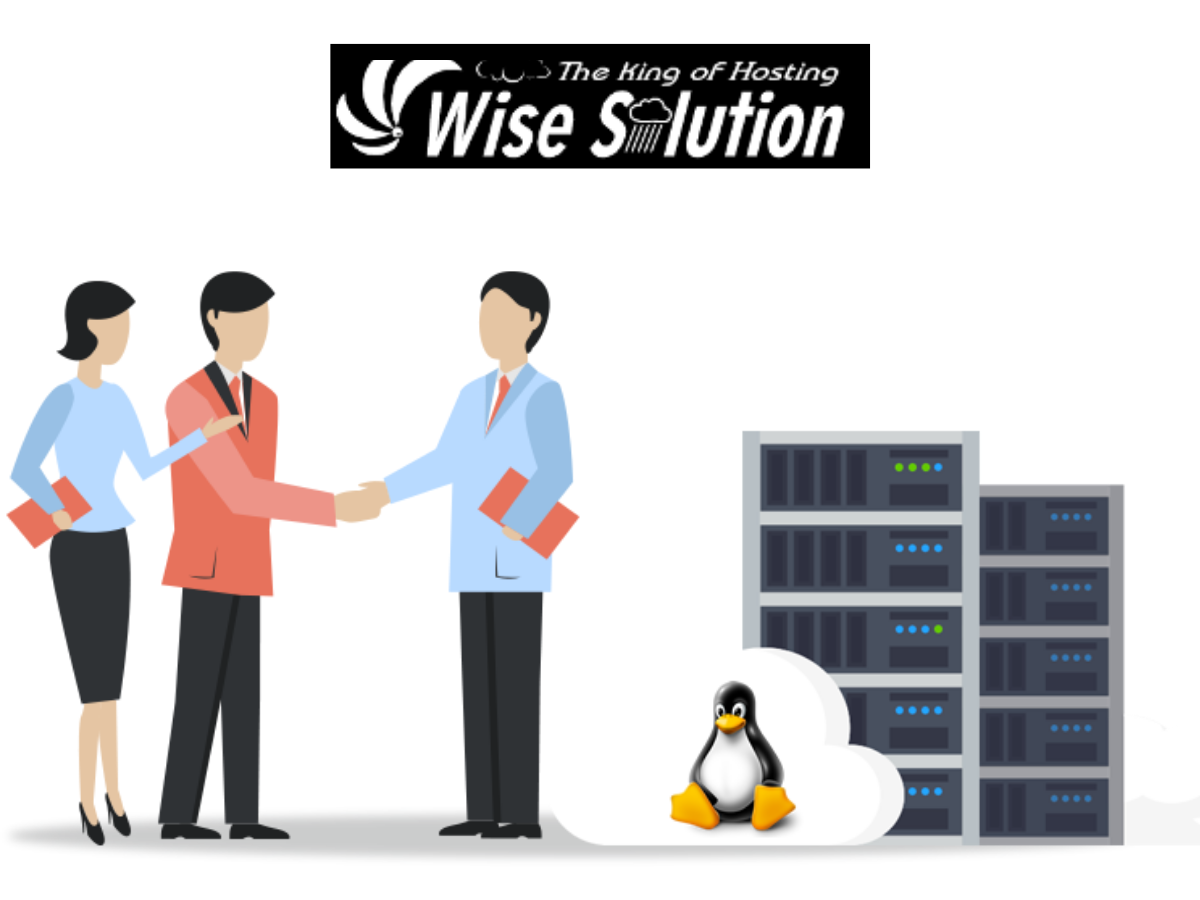 Run Best Linux Reseller Hosting Business with Wise Solution