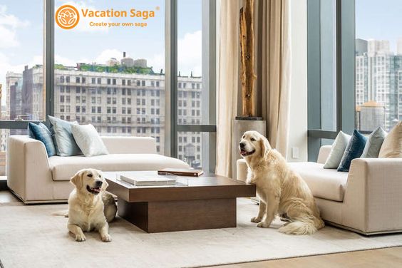 Best Practices for Your Pet-Friendly Vacation Rentals