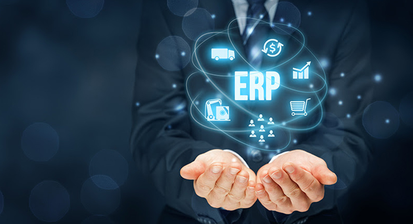What is ERP HCM and Why to Learn ERP HCM?