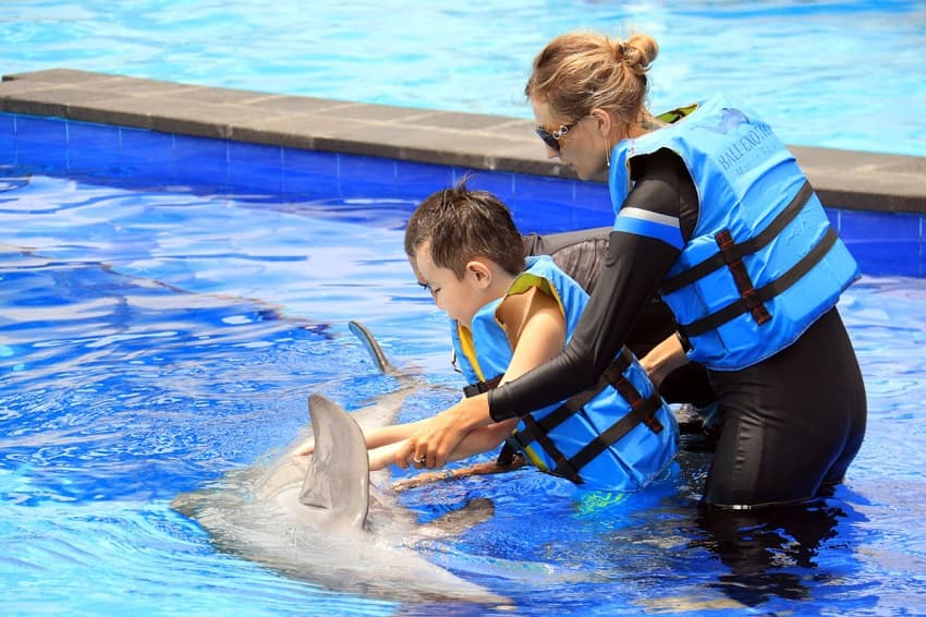 Mental Health Benefits You Can Avail by Swimming with Dolphins