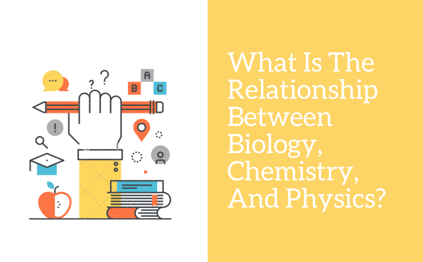 image relationship between biology, chemistry, and physics