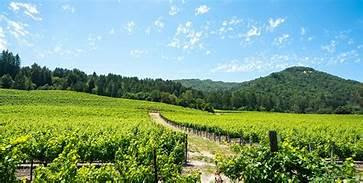 Sonoma Valley