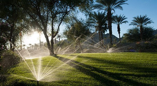 The Benefits of Irrigation for Your Commercial Landscaping