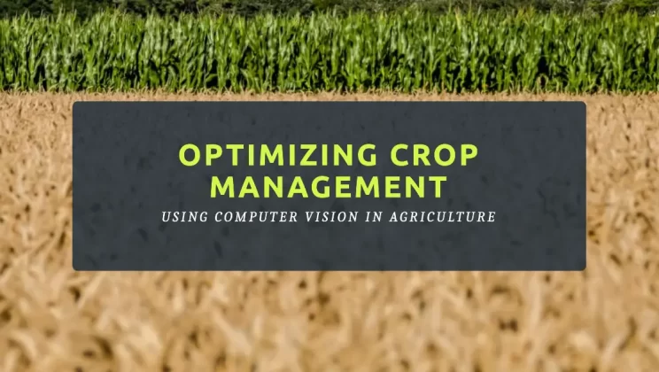 Computer Vision in Agriculture: Optimizing Crop Management and Yield Prediction