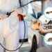 pest control surrey